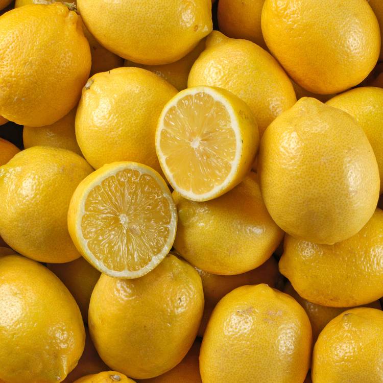 Le Citron jaune en filet