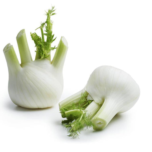 Le Fenouil