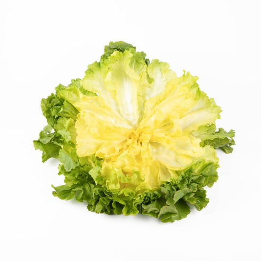 La Salade scarole