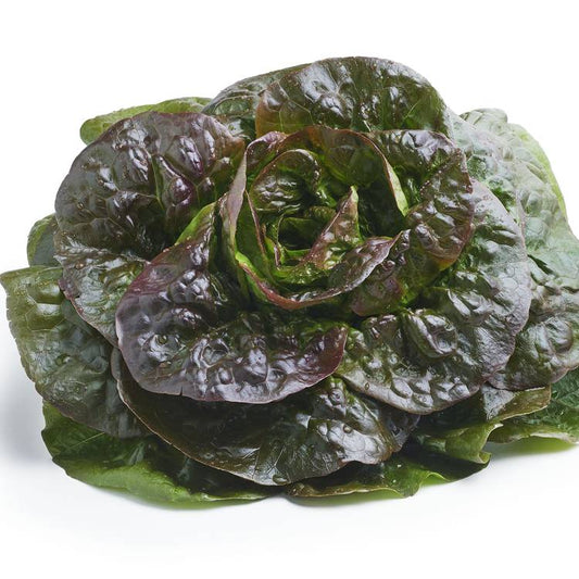 La Salade rougette