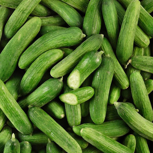 Le Mini concombre BIO