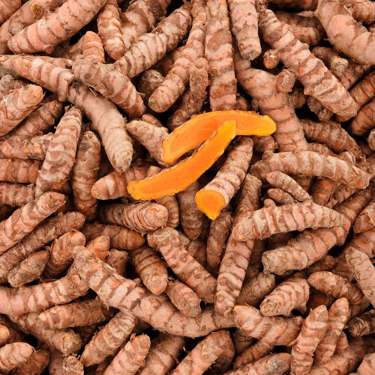 Le Curcuma frais BIO