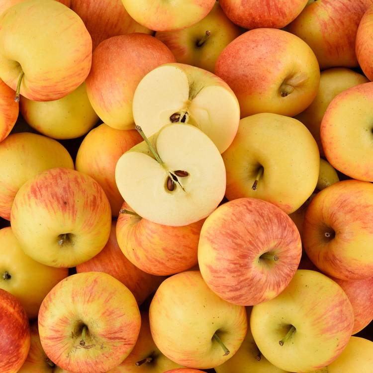 La  Pomme Dalinette BIO