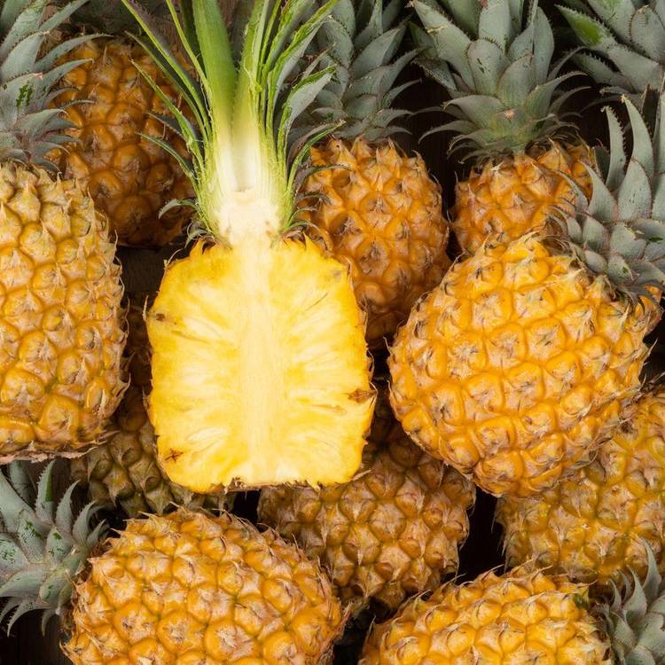 L'Ananas victoria