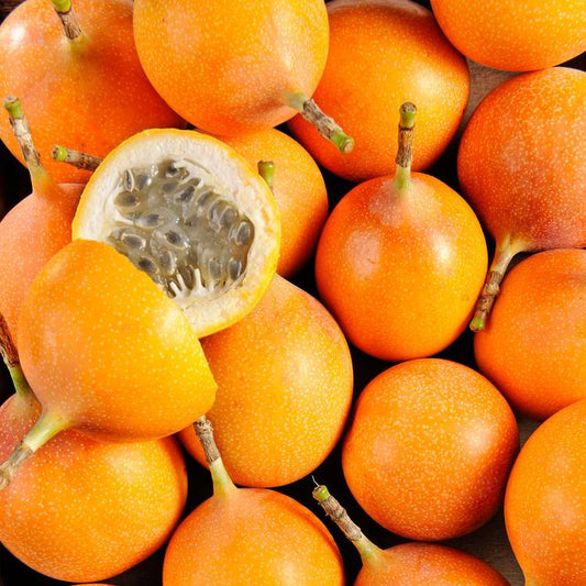 La Grenadille
