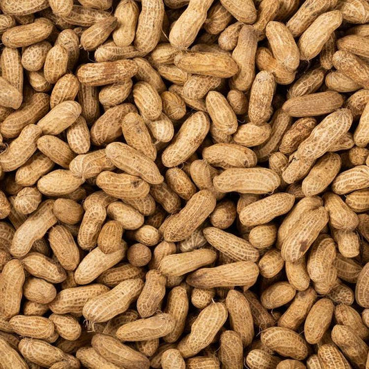 La Cacahuète fraîche