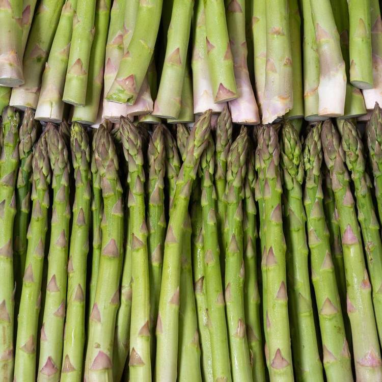 L'Asperge verte