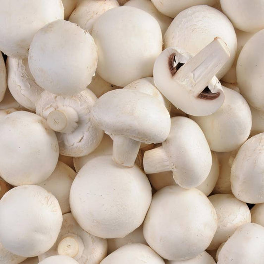 Le Champignon blanc