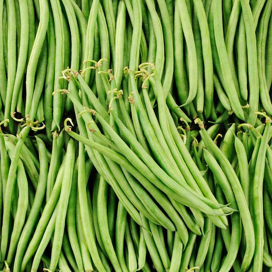 Le Haricot vert