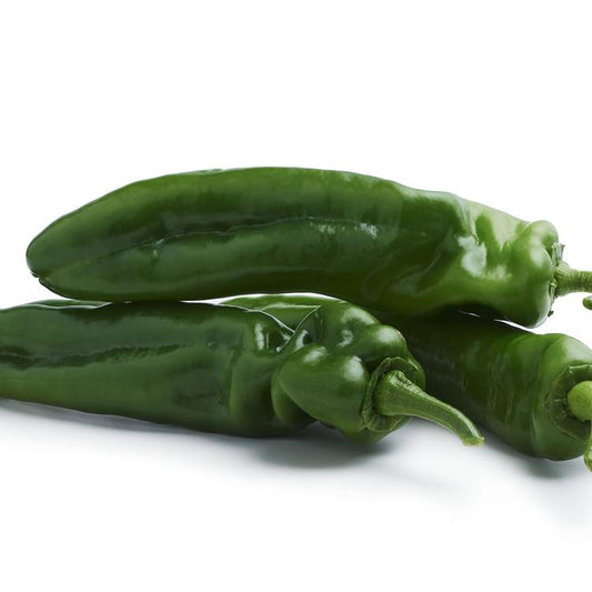 Le Poivron vert corne de boeuf