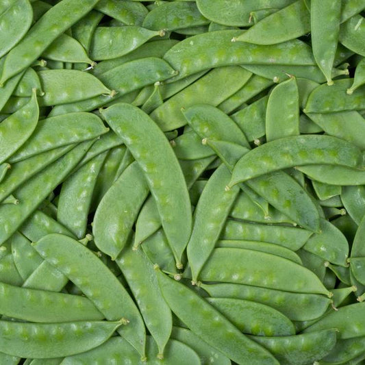 Les Pois mange-tout extra fins