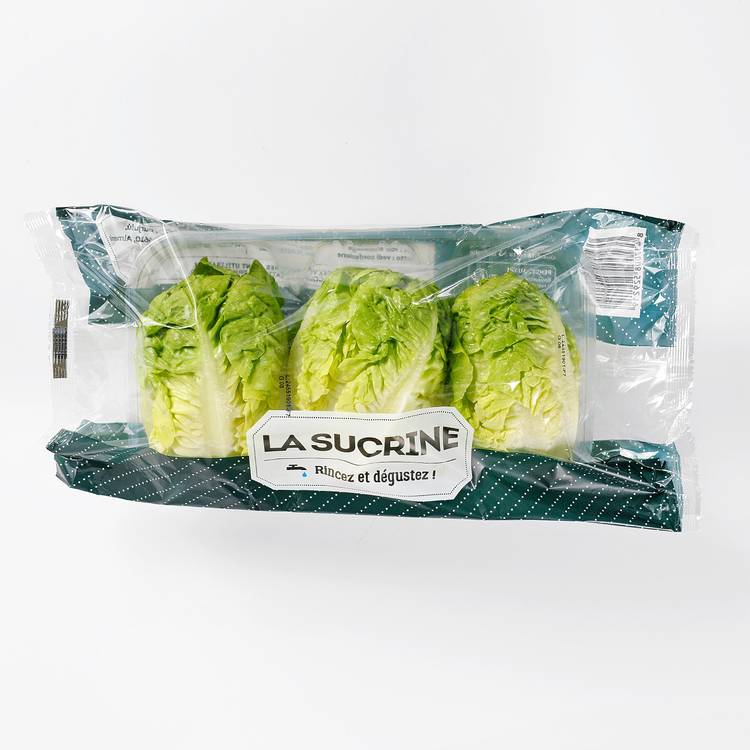 Les Têtes de salade sucrine