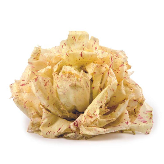 La Salade castelfranco