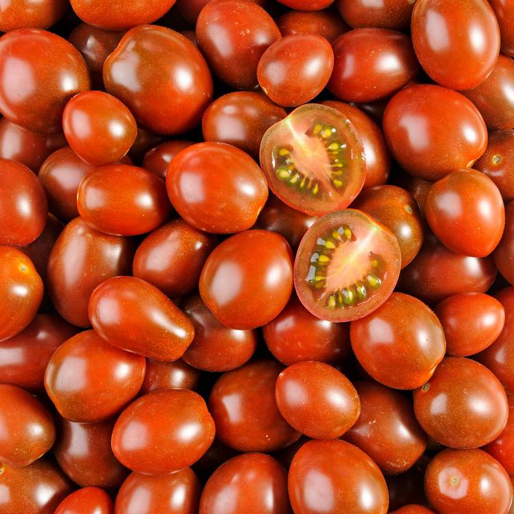 La Tomate cerise noire