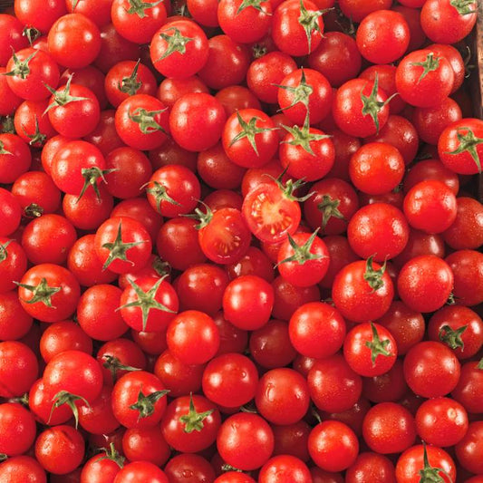 La Tomate cerise rouge