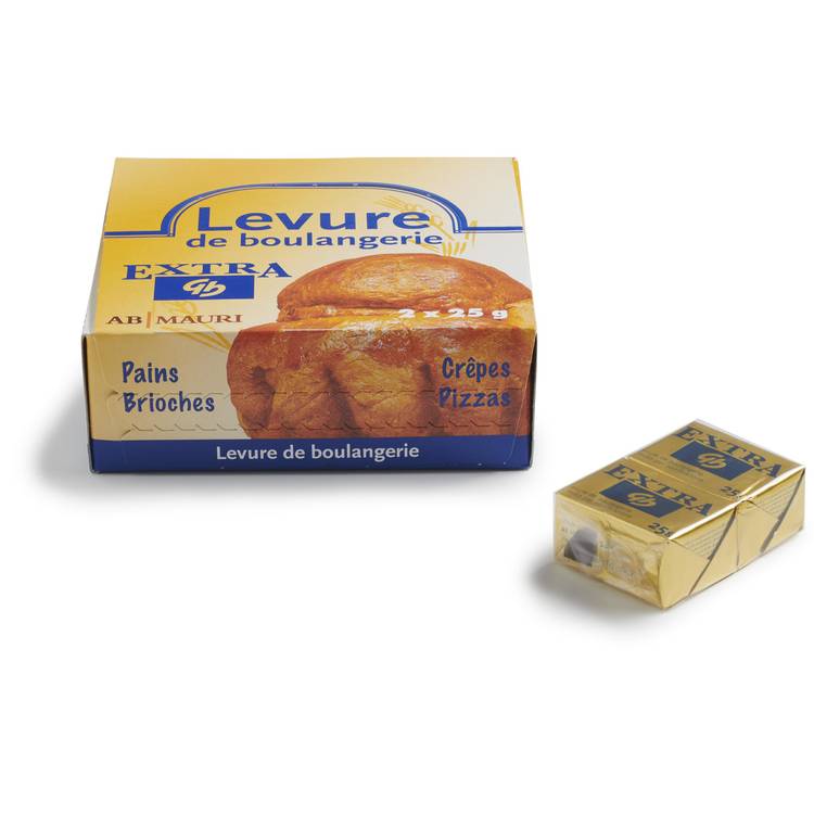 Les Cubes de levure fraîche