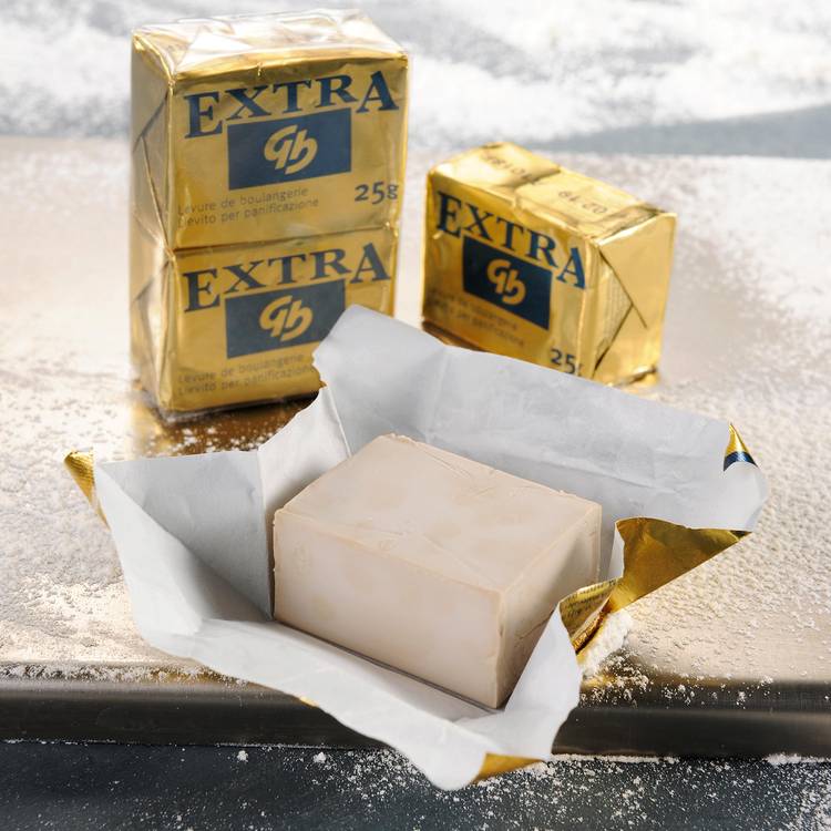 Les Cubes de levure fraîche