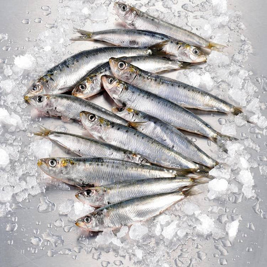 Les Sardines entières
