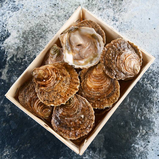 Les 12 Huîtres plates de Belon N°00