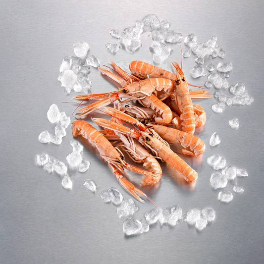 Les Langoustines cuites 20/30